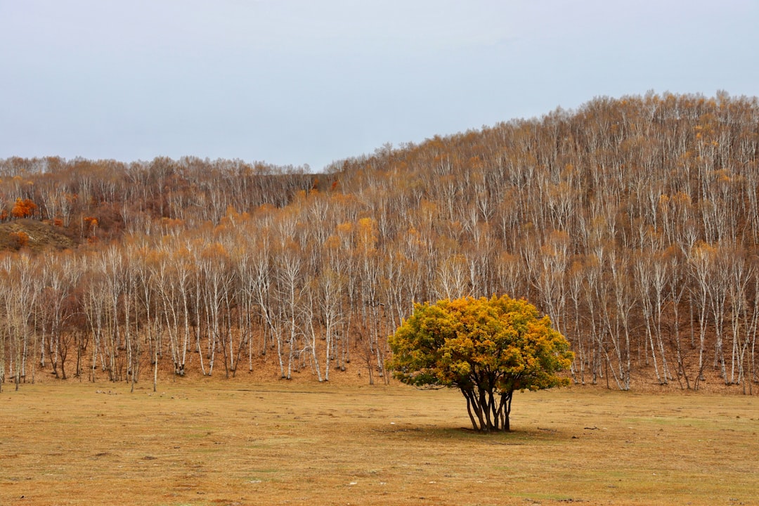 Sustainable Wanderlust: Eco-Friendly Outdoor Travel Tips