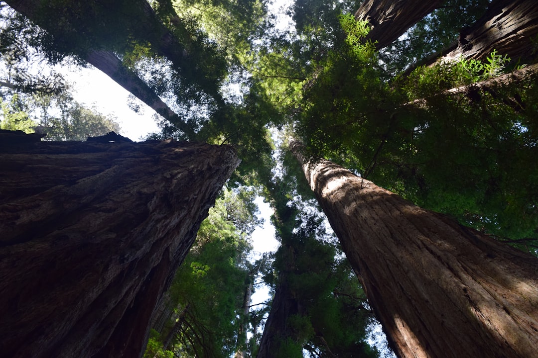 Embracing Nature: Budget-Friendly Outdoor Travel Adventures